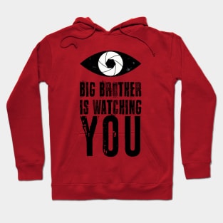 Big brother is watching you Hoodie